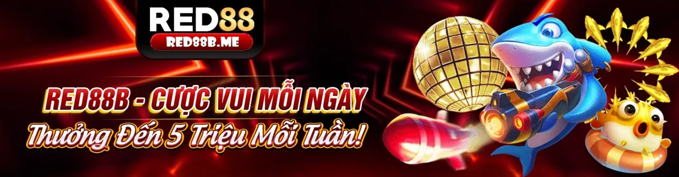rr88 apk – Nền tảng giải trí trực tuyến hàng đầu Việt Nam