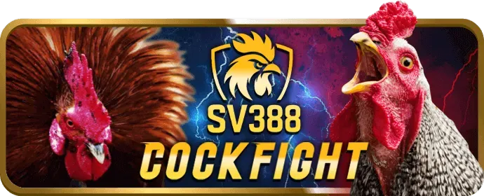 Tin Tức rr88 apk